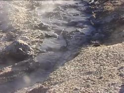 Introduction to Archaebacteria Instructional Video