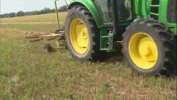 Dairy farmers fear they'll be sacrificed to appease Trump News Clip