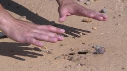 ANT ATTACK! Instructional Video