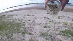 Views of small plastic pellets, known as 'nurdles', recovered from a beach near Portsmouth Stock Footage