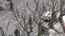 CLEAN : Quiet street scene in Shanghai amid Covid restrictions News Clip