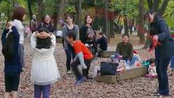 Japan Values Instructional Video