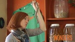 Eaten Alive? Really? Instructional Video