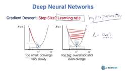 Deep Learning CNN Convolutional Neural Networks with Python - Batch MiniBatch Stochastic Gradient Descent Instructional Video