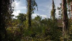 Everglades National Park - Pine Rockland Instructional Video