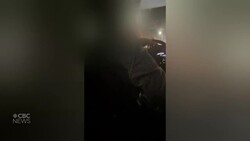 Racial slur caught on video News Clip