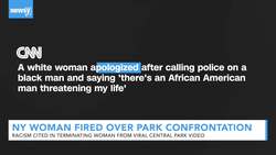 For Some, Central Park Incident Harks Back To Past Racial Violence News Clip