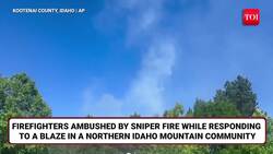 Big Attack Near Washington; U.S. Firefighters AMBUSHED By Sniper, Two Killed In Idaho | 'Stay Home' News Clip