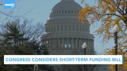 Newsy's Latest Headlines News Clip