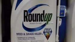 VOICED : Condena definitiva para Monsanto en EEUU por herbicida Roundup News Clip