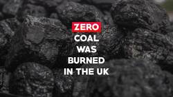 10 Good Things That Happened in 2017 Instructional Video