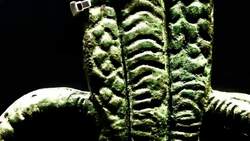 Snakes: Mythology, Symbolism, and Misconceptions Instructional Video