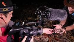 Sneaky Banana Boa! Instructional Video