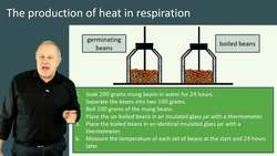 Production of Heat and Carbon Dioxide in Respiration - Investigating Germinating Seeds Instructional Video