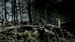 Camouflage: The Art of Concealment and Visual Perception Instructional Video