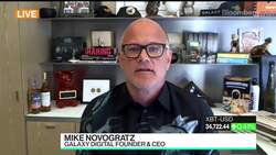 Bitcoin Is a Survivor: Novogratz News Clip