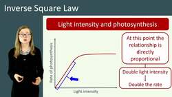 Understanding the Inverse Square Law in Regards to Light Intensity and Photosynthesis Instructional Video