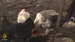 Chile drought enters critical phase News Clip