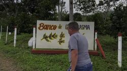 CLEAN : Cuba bets on specialty coffee to boost industry News Clip