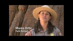 Yosemite Nature Notes 11: Big Trees Instructional Video