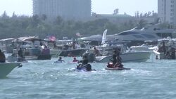 VOICED : Mortandad sin precedentes de manatíes desborda centros de cuidados en Florida News Clip