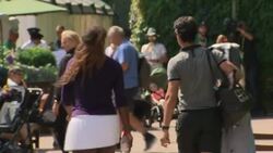 Serena Williams walking through Wimbledon News Clip