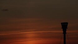 How does coronavirus affect your travel insurance? News Clip