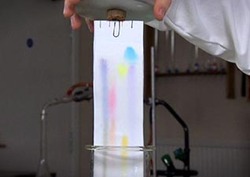 Felt Tip Chromatography Instructional Video