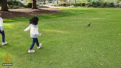 Australia: Asylum-seeking Tamil family legal battle continue News Clip