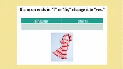 Forming Irregular Plural Nouns Instructional Video