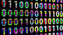 3d illustration of binary background, binary code computer generated design Stock Footage