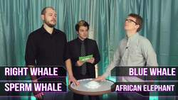 SciShow Quiz Show: Reid Reimers Instructional Video