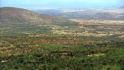 HIGH ANGLE DOWN OF SERENGETI PLAIN OR VELDT WITH SOME GREEN BUSHES, TREES AND HILLSIDE IN BG. SEE 4369 AND 4371. LANDSCAPES. VALLEYS. Stock Footage
