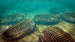 How Ancient Microbes Rode Bug Bits Out to Sea Instructional Video