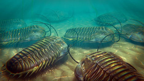 How Ancient Microbes Rode Bug Bits Out to Sea
