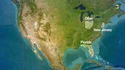 The Peculiar Rise of America's Car Wash Obsession News Clip