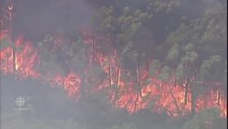 Australia bushfires leaves town ravaged News Clip