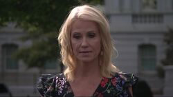 Conway: Whistleblower has protection under the law News Clip