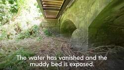 Source of River Thames dries up as drought continues in England News Clip