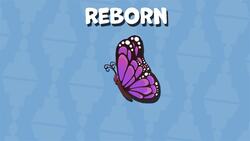 I WONDER - What Do Buddhists Believe In? Instructional Video