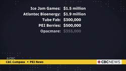 ACOA is owed millions by companies formed on P.E.I. that went out of business, documents show News Clip