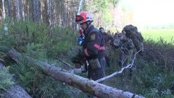 CLEAN : In Siberia forests, climate change stokes 'zombie fires' News Clip