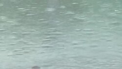 Woman set on fire by husband denied home insurance payout News Clip