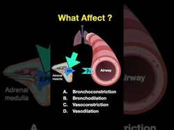 Testing ANS #shorts (Part F) Instructional Video