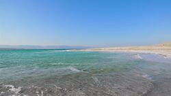 I WONDER - How Does Gravitational Pull Work? Instructional Video