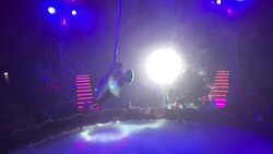 Circus takes step into unknown with winter shows to recoup pandemic losses News Clip