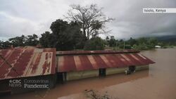 COVID-19 fear spreads across Africa News Clip