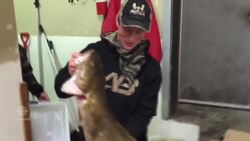 Thunder Bay teen lands record-breaking freshwater cod News Clip