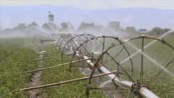 Soil Instructional Video