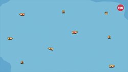 Matt Mullenweg: Why working from home is good for business Instructional Video